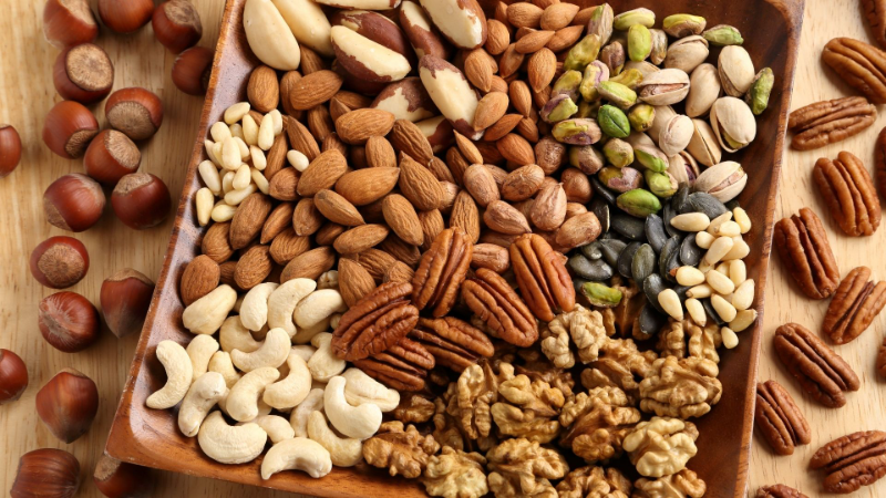 alternatif sumber protein